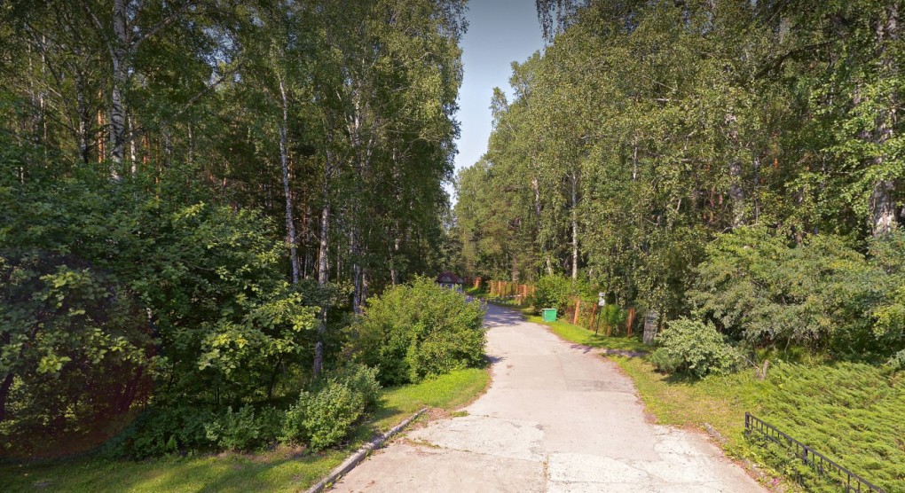 Где собирать землянику в Новосибирской области? Топ-5 популярных мест