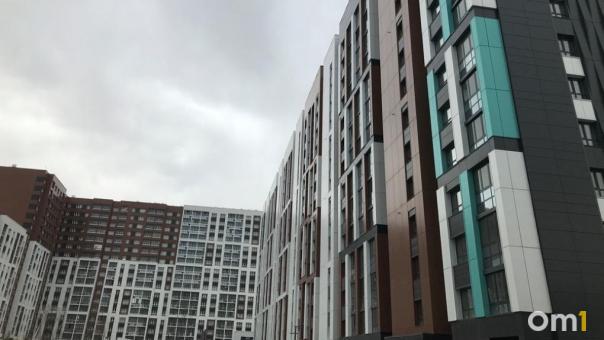 Ванна на постаменте и леопарды на стенах. Топ квартир с необычным ремонтом в Омске