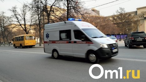 Под Новосибирском в ногу 12-летнего мальчика вонзился металлический прут