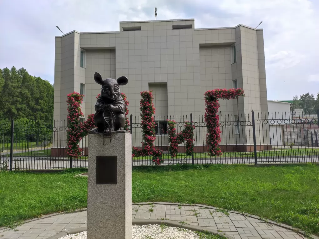 Достопримечательности Новосибирска: история лабораторной мыши и других памятников