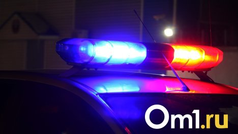В Омской области пожилой мужчина сел пьяным за руль, сбил человека и попытался сбежать