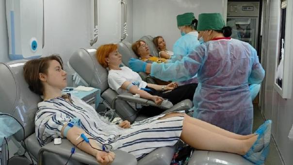 Волонтёры собрали средства для реабилитации маленькой томички